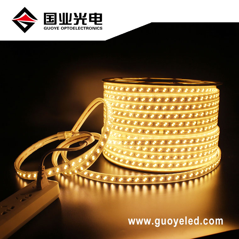 110v 220v led strip ljus