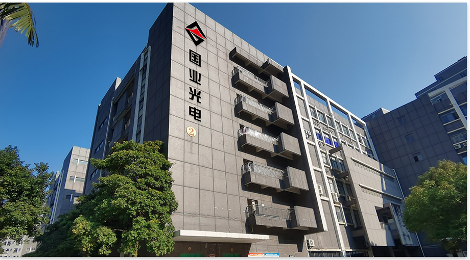 Shenzhen Guoye Optoelectronics 2024 års sammanfattning